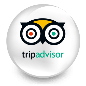 Trip Advisor Award of Excellence Badge