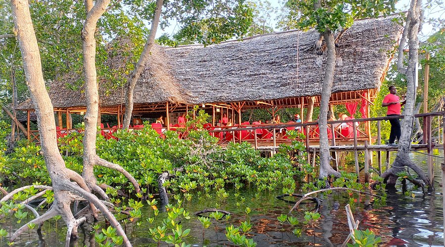 Safari Jeep Adventure